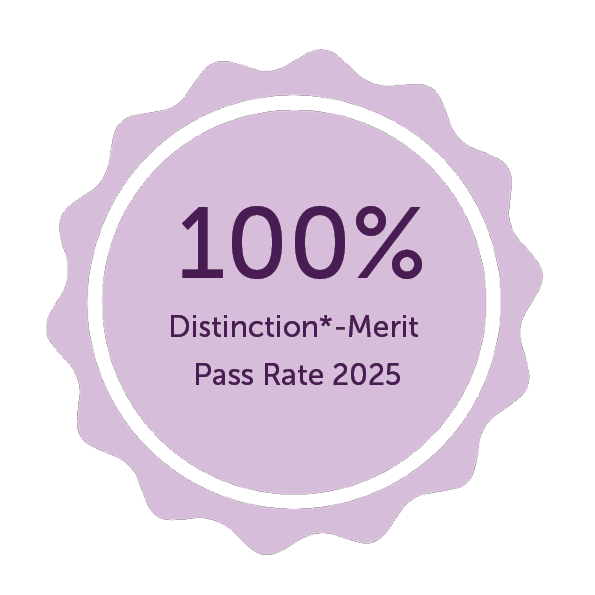 Graphic reading 100% distinction* to merit pass rate 2025