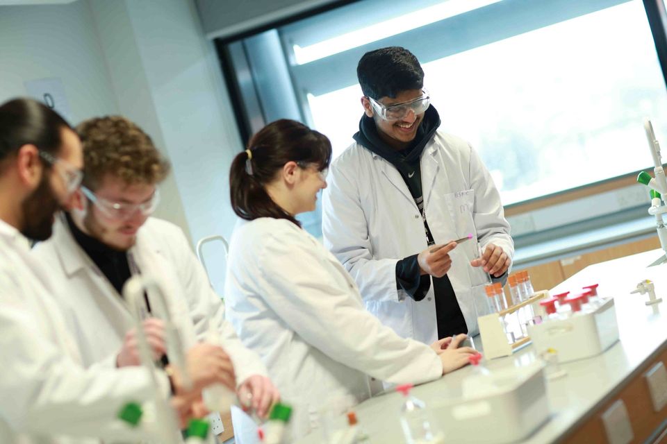 Image of students in Science lesson Image of students in Science lesson