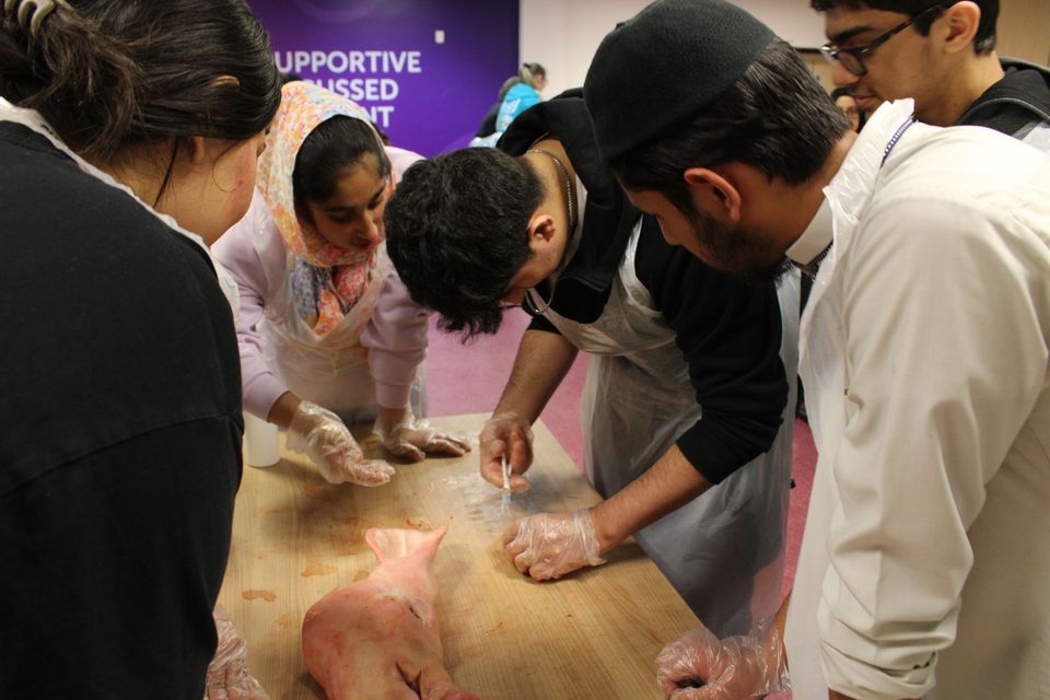Students performing dissection