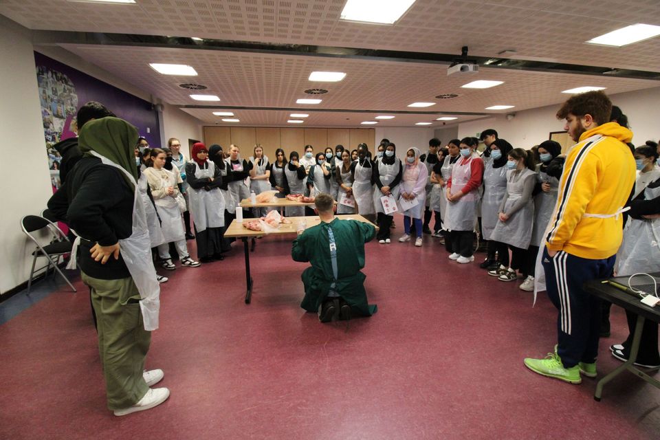 Students watching presenter perform dissection
