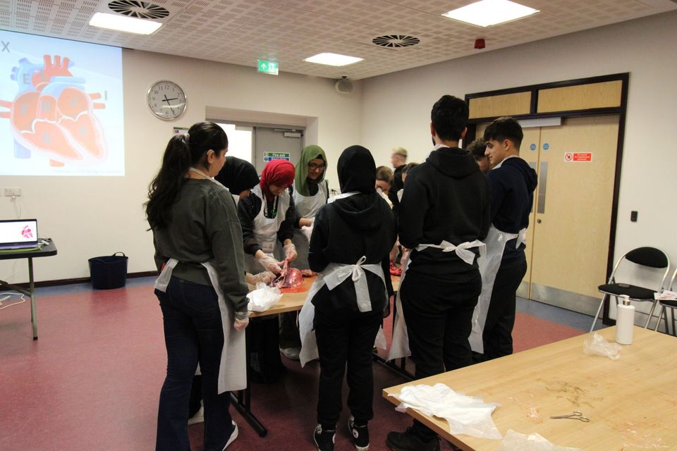 Students performing dissection