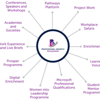 Professional Growth Programme