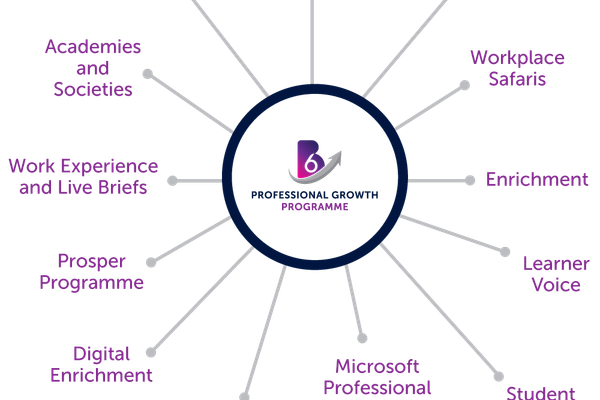 Professional Growth Programme